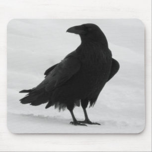 Tapis De Souris Raven fier
