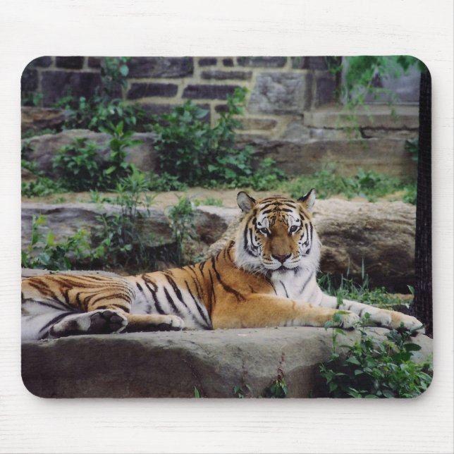 Tapis De Souris Rayures (Devant)
