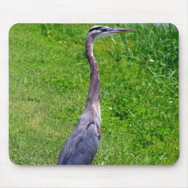 Tapis De Souris Recherche d'oiseaux (Devant)