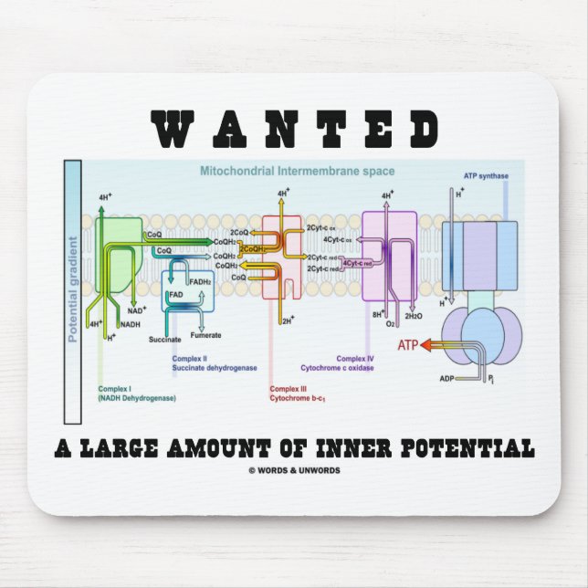 Tapis De Souris Recherché un grand nombre de potentiel intérieur (Devant)