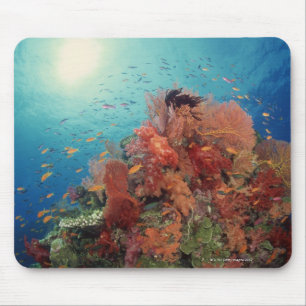 Tapis De Souris Récif pittoresque des coraux durs, coraux mous 2