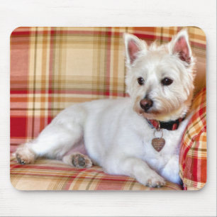 Tapis De Souris Recouvrement de luxe