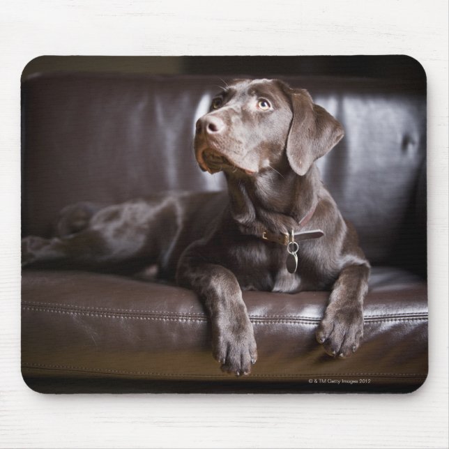 Tapis De Souris Récupérateur de chocolat Labrador (Devant)