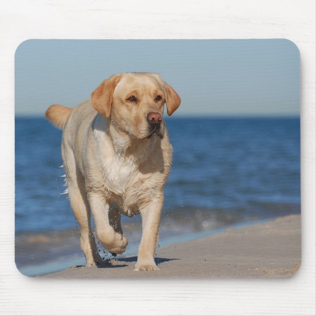 Tapis De Souris Récupérateur de labrador jaune sur la plage (Devant)