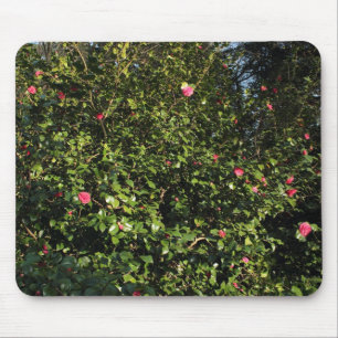 Tapis De Souris Red Camellia Bush