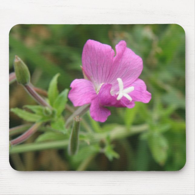 Tapis De Souris Red Campion Fleur sauvage Mousepad (Devant)