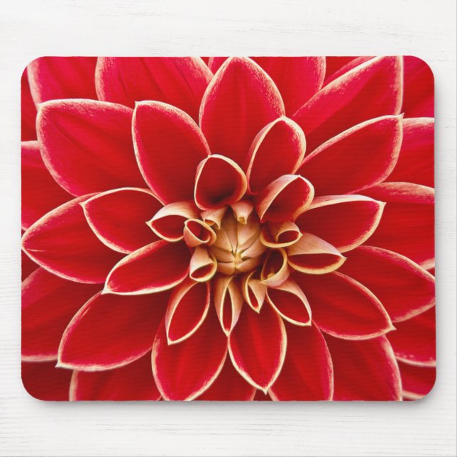 Tapis De Souris Red Dahlia (Devant)