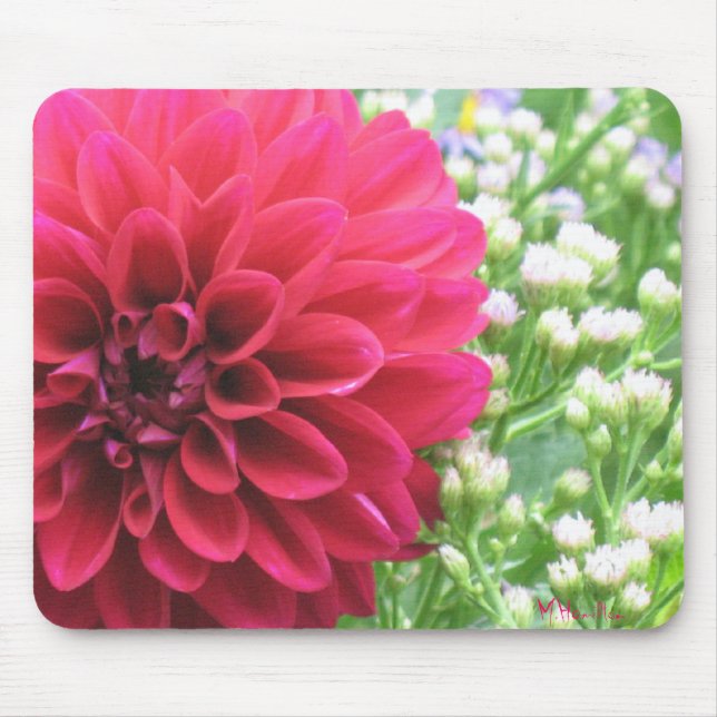 Tapis De Souris Red Dahlia Photo Mousepties (Devant)