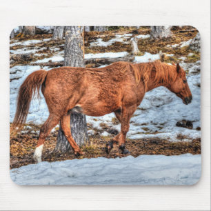 Tapis De Souris Red Dun Ranch Horse Equine Photographie