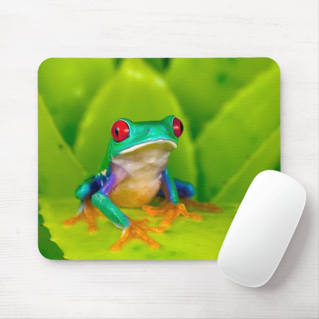 Tapis De Souris Red-eyed tree frog, Costa Rica (Avec souris)