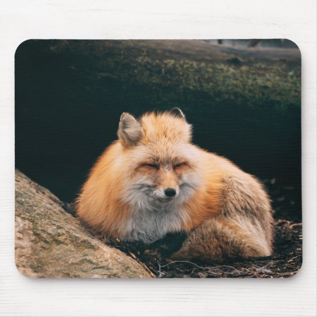 Tapis De Souris Red Fox dormant (Devant)