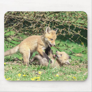Tapis De Souris Red Fox Kits Jouer