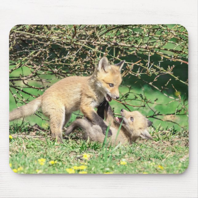 Tapis De Souris Red Fox Kits Jouer (Devant)