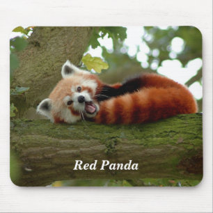 Tapis De Souris Red Panda resting