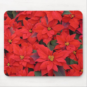 Tapis De Souris Red Poinsettias I Christmas Holiday Floral Photo