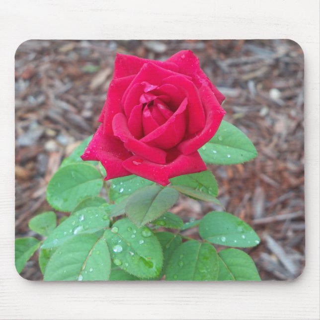 Tapis De Souris Red Rose (Devant)