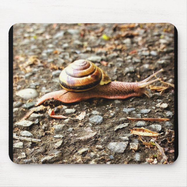 Tapis De Souris Red Snail on the Ground (Devant)