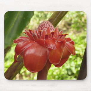 Tapis De Souris Red Torch Ginger Tropical Flower Photographie