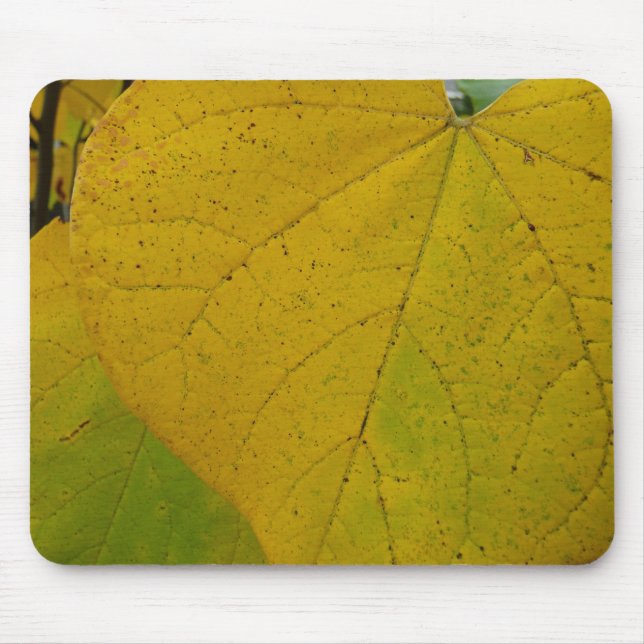 Tapis De Souris Redbud Jaune Feuille Automne Photographie de la na (Devant)