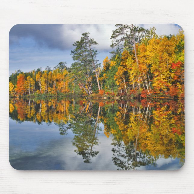 Tapis De Souris Reflets d'étang en automne, Maine (Devant)