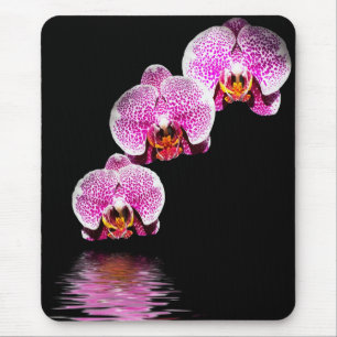 Tapis de souris reflets d'orchidées Phalaenopsis v