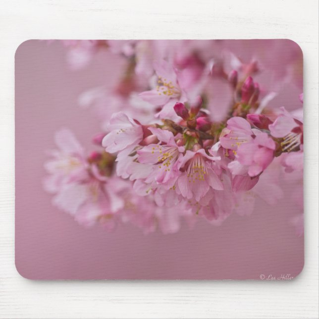 Tapis De Souris Reflets Rose Pâle des Fleurs de Cerisier Sakura (Devant)