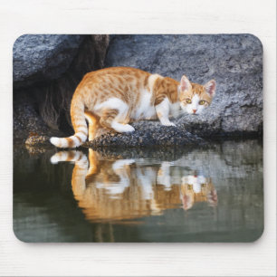 Tapis De Souris Réflexion de chat dans l'étang Photo d'animal d'ea