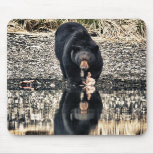 Tapis De Souris Réflexions de l'ours noir