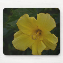 Regard à l'intérieur d'une fleur jaune Mousepad