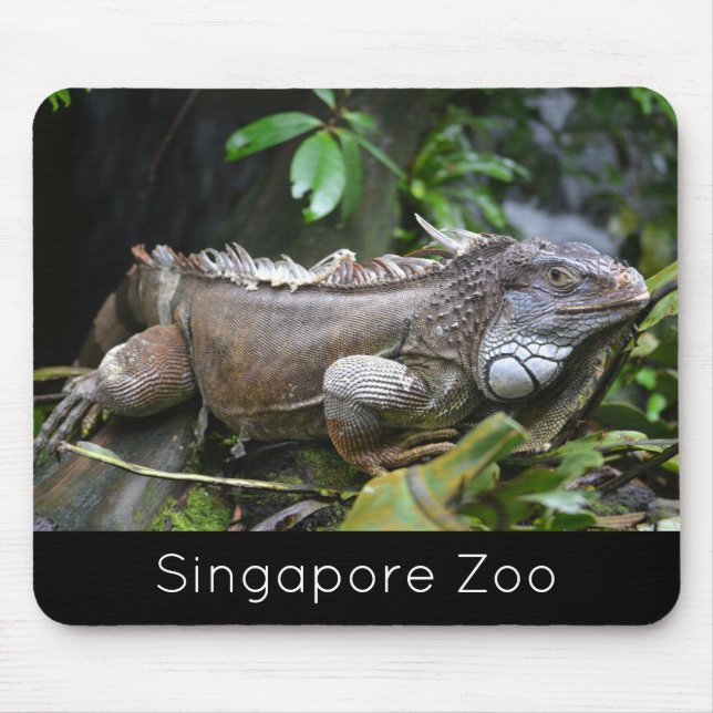 Tapis De Souris Regardez-moi Lizard Singapore Zoo (Devant)