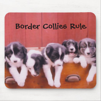 Tapis De Souris Règle des bordures