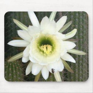 Tapis De Souris Reine de la Fleur de Cactus de Nuit, Région du Kar