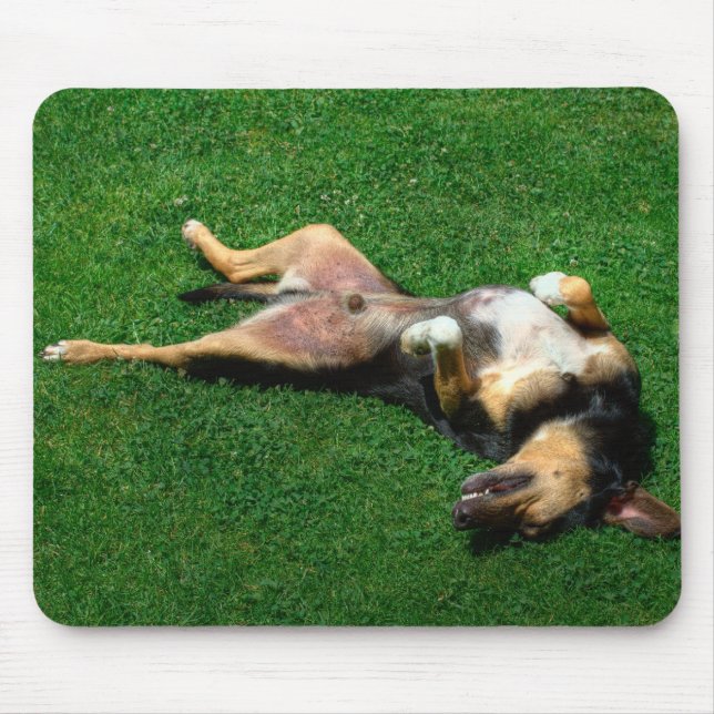 Tapis De Souris relax (Devant)