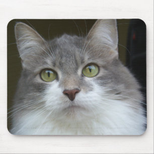 Tapis De Souris Rema Mousepad 003