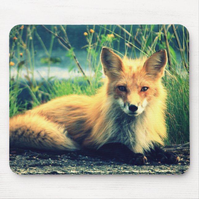 Tapis De Souris Renard orange (Devant)