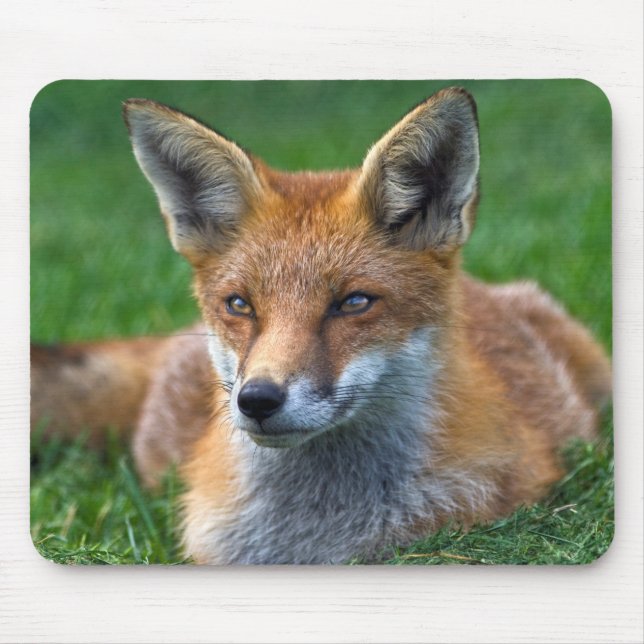Tapis de souris Renard Rouge (Devant)