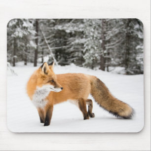 Tapis De Souris Renard rouge en neige blanche