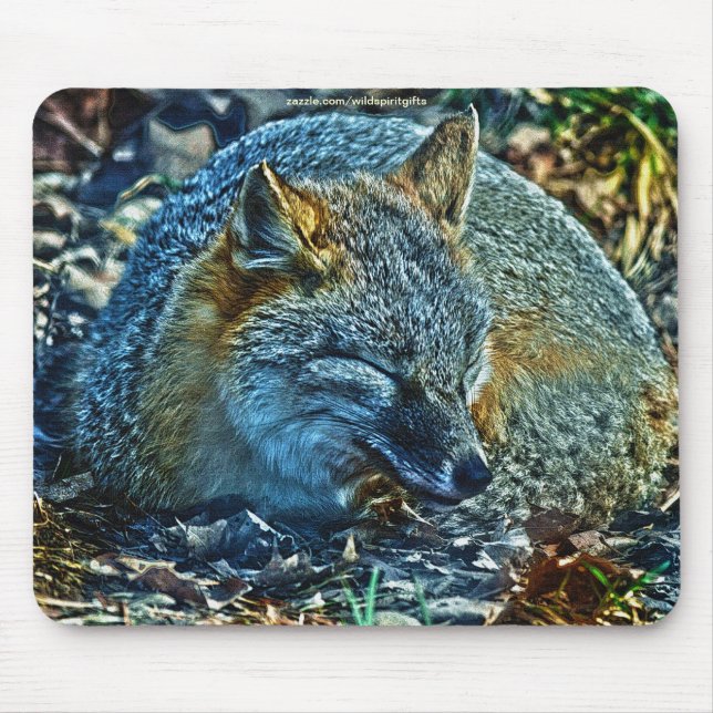 Tapis De Souris Renard roux endormi sur la faune Feuille (Devant)
