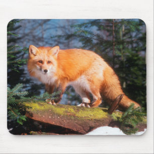 Tapis De Souris Renard roux sur une bûche