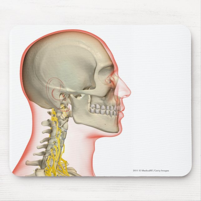 Tapis De Souris Rendu des nerfs du cou (Devant)