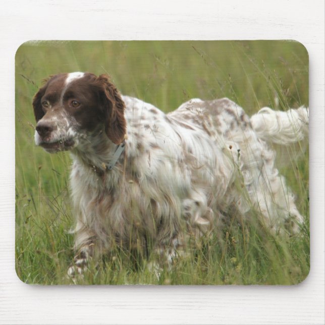 Tapis de souris repéré de chien de poseur anglais (Devant)
