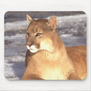 Tapis De Souris Repos Cougar