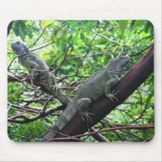 Tapis De Souris Repos reptile