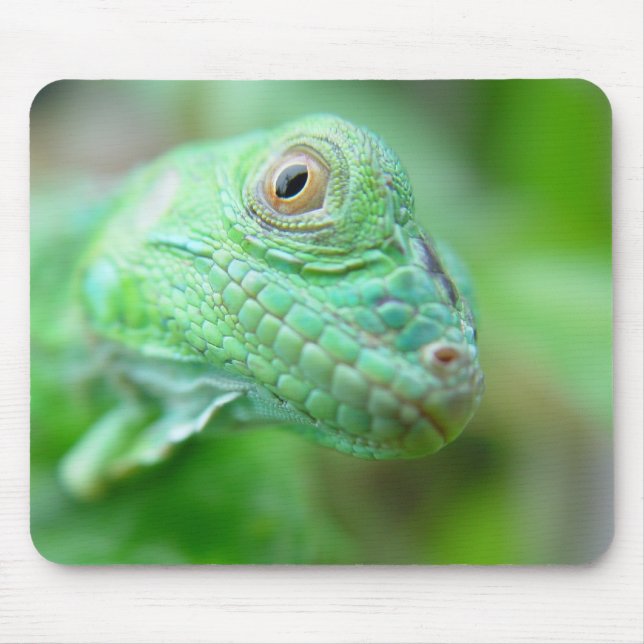 Tapis De Souris Reptile vert de lézard d'iguane sur la feuille (Devant)