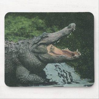 Tapis De Souris Reptiles de crocodile vintage, Vie animale marine