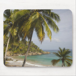 Tapis De Souris République Dominicaine, Côte Nord, Abreu, Playa