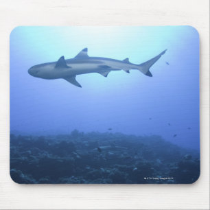 Tapis De Souris Requin dans l'océan, vue d'angle faible