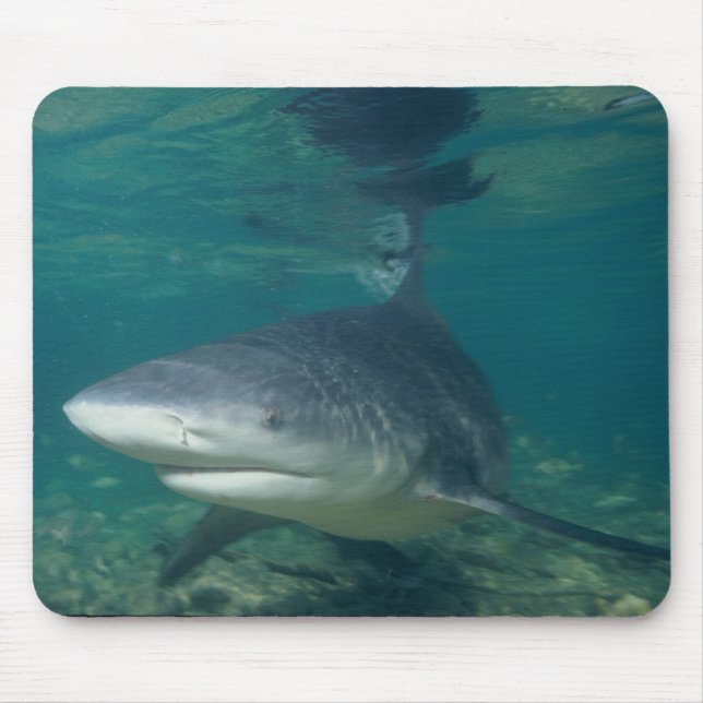Tapis De Souris Requin de Taureau - leucas de Carcharhinus (Devant)