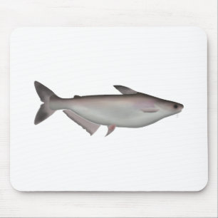 Tapis De Souris Requin Iridescendant