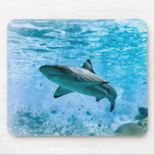 Tapis De Souris Requin vintage Mousepad